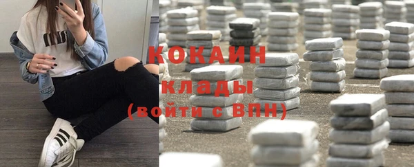 apvp Алзамай