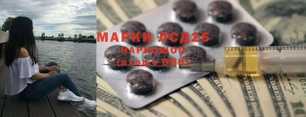 ПСИЛОЦИБИНОВЫЕ ГРИБЫ Алексеевка