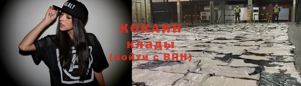 прущие грибы Абдулино