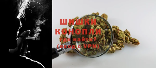 прущие грибы Абдулино
