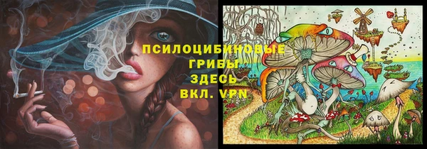 apvp Алзамай