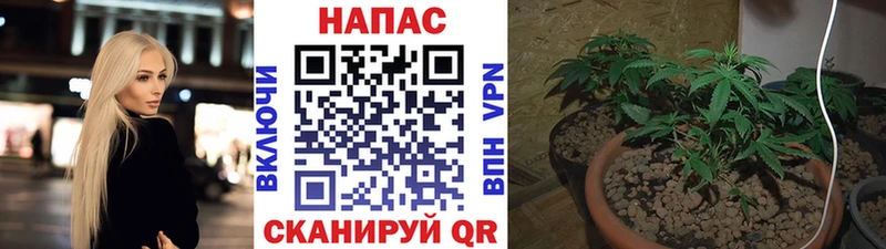 Бошки Шишки марихуана  где можно купить   Усолье-Сибирское 